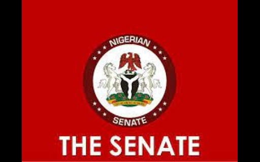 Senate Considers Bills To Tackle Poverty, Stop Intellectual Property Theft