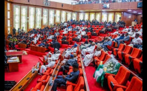 SENATE CONFIRMS CBN GOVERNOR, 11 OTHERS AS MEMBERS OF MONETARY POLICY COMMITTEE