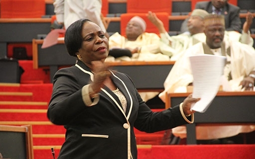 SENATE PASSES TEN BILLS FOR SECOND READING.
